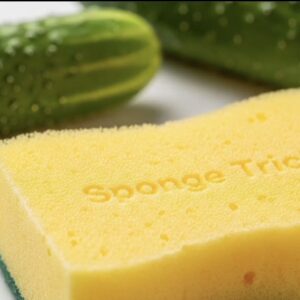 Sponge Trick = Bonuses